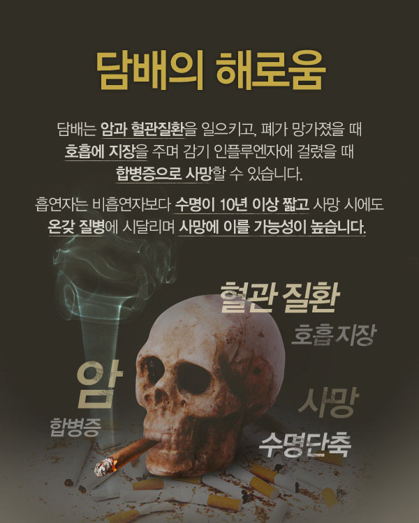 첨부파일 미리보기